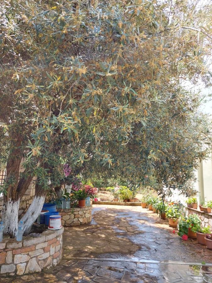 Vila Rexhaj Ksamil Exteriér fotografie